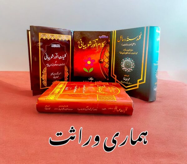 Hamari Warasat Set of 4 Kashmiri Kulyat