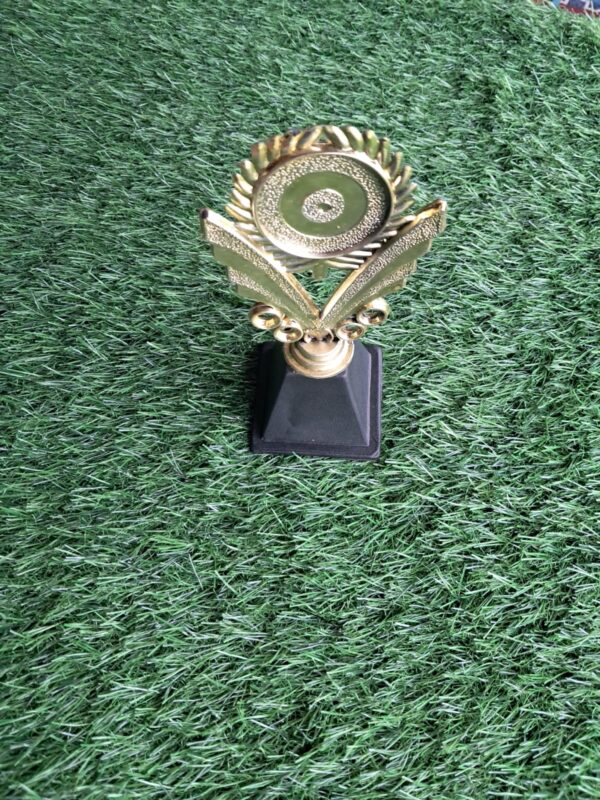 Trophy 6