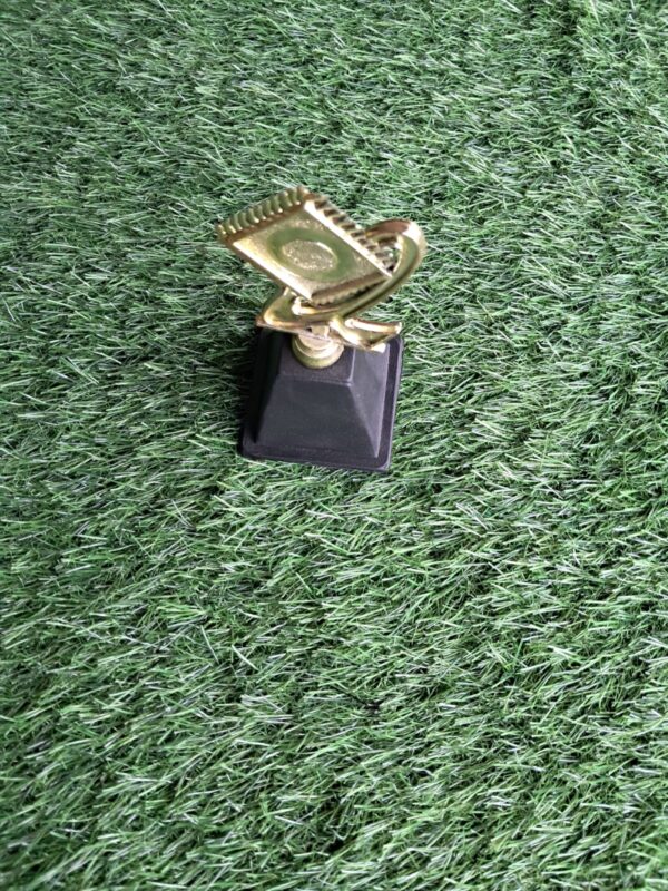Trophy 7