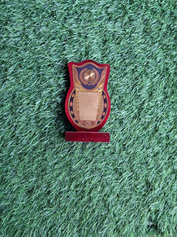 Trophy 10